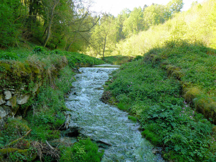 Bradford Dale Bradford Dale